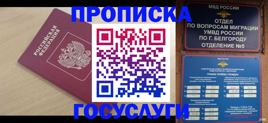 прописка законно в Пугачёве